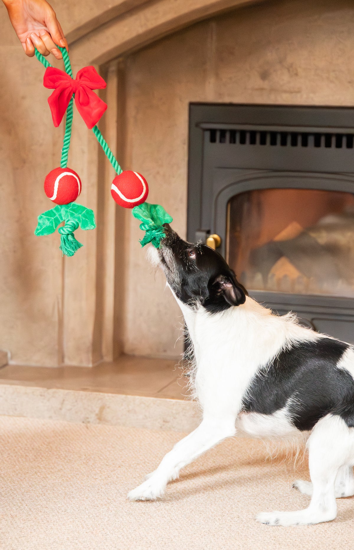 Rosewood Christmas Holly Jolly Rope Dog Toy