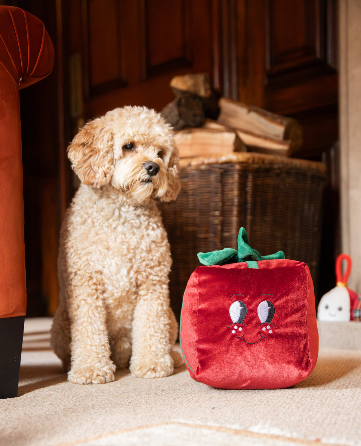 Rosewood Christmas Peter Present Dog Toy