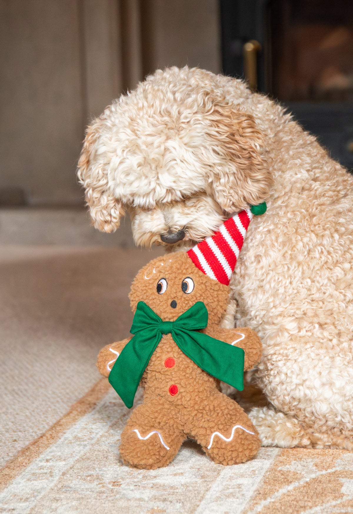 Rosewood Christmas George Gingerbread Dog Toy