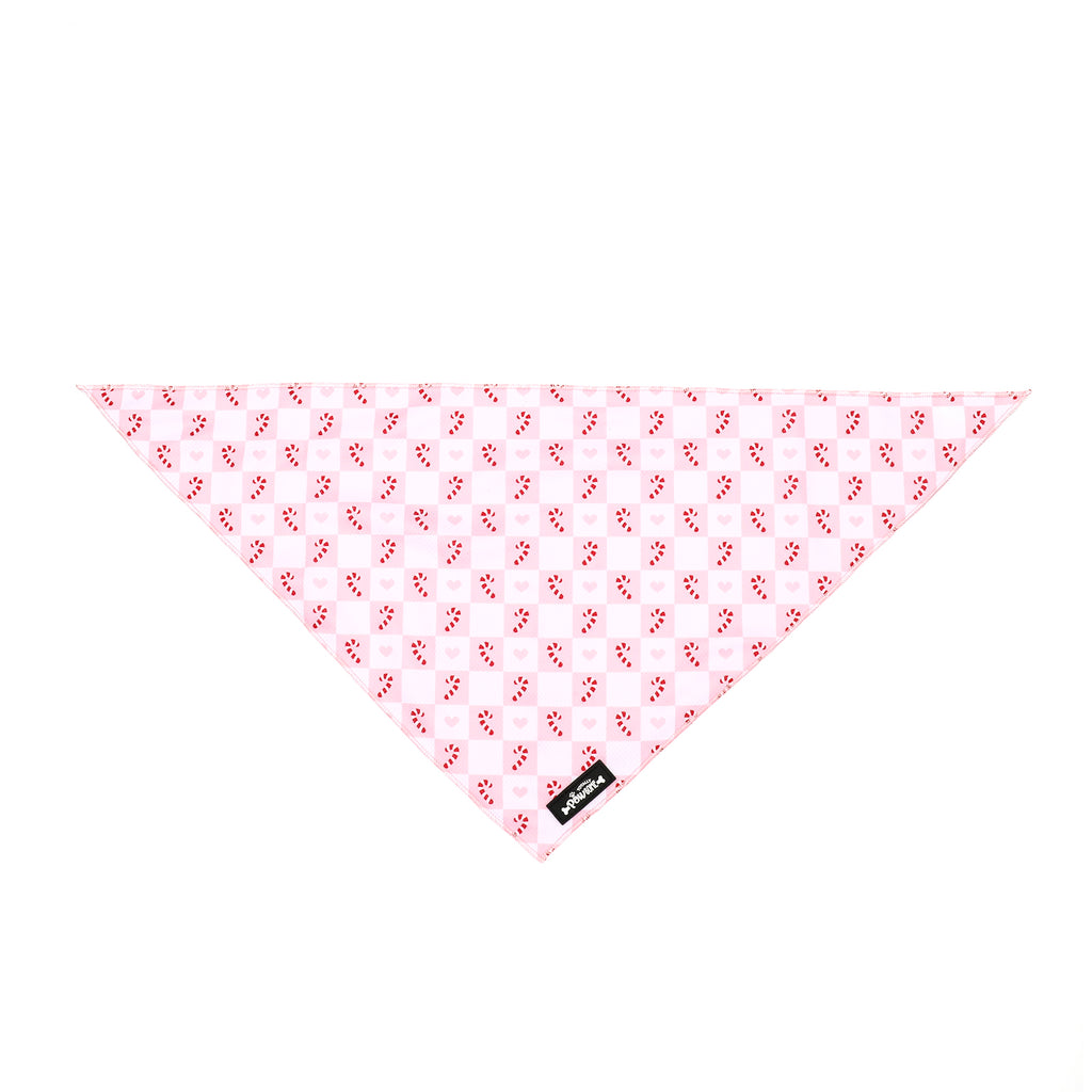 Candy Cane Cuddles Christmas Bandana
