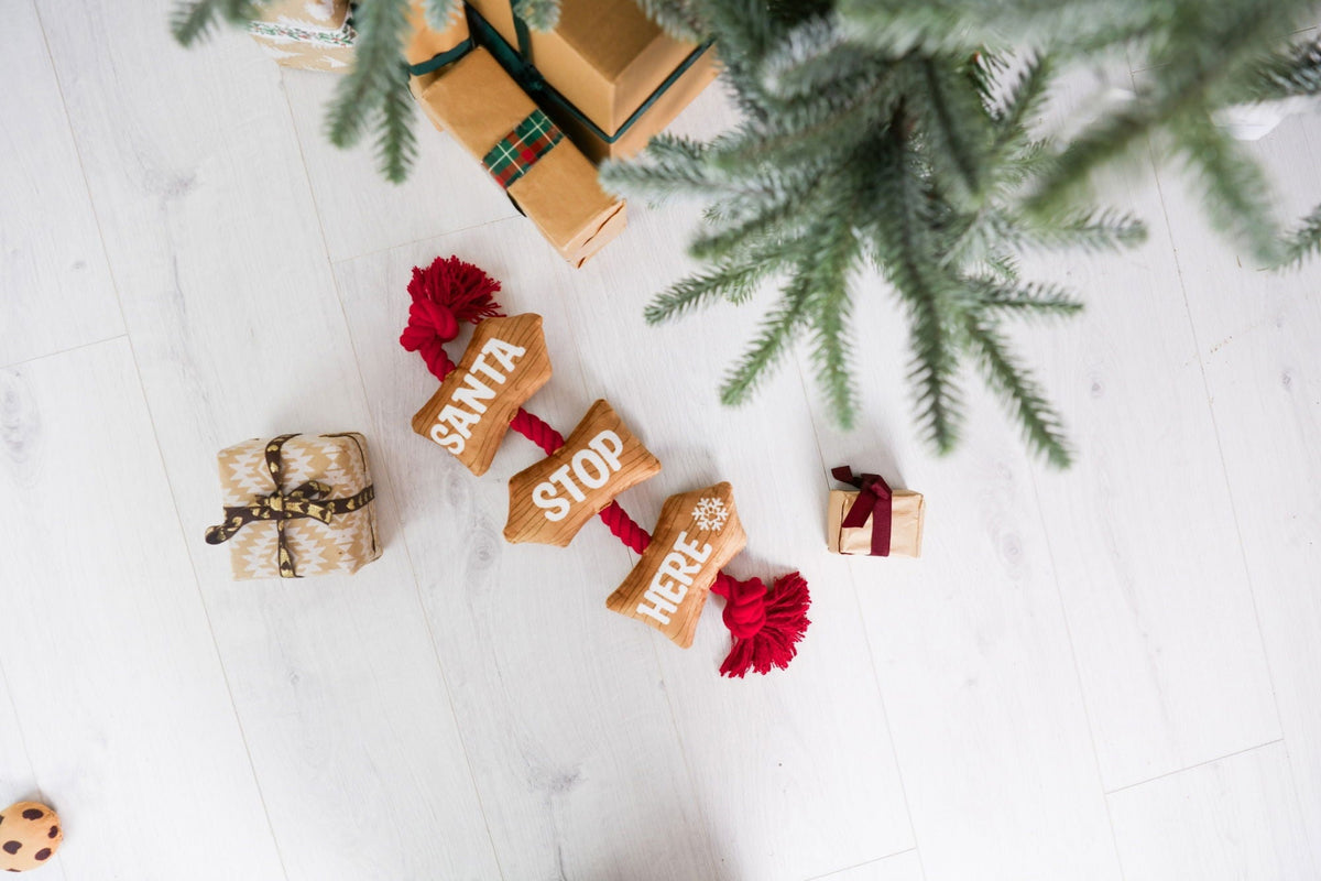 Bark Toys - Christmas Dog Toys