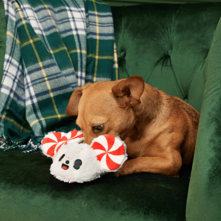 Bark Toys - Christmas Dog Toys