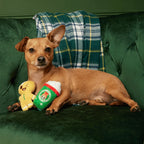 Bark Toys - Christmas Dog Toys