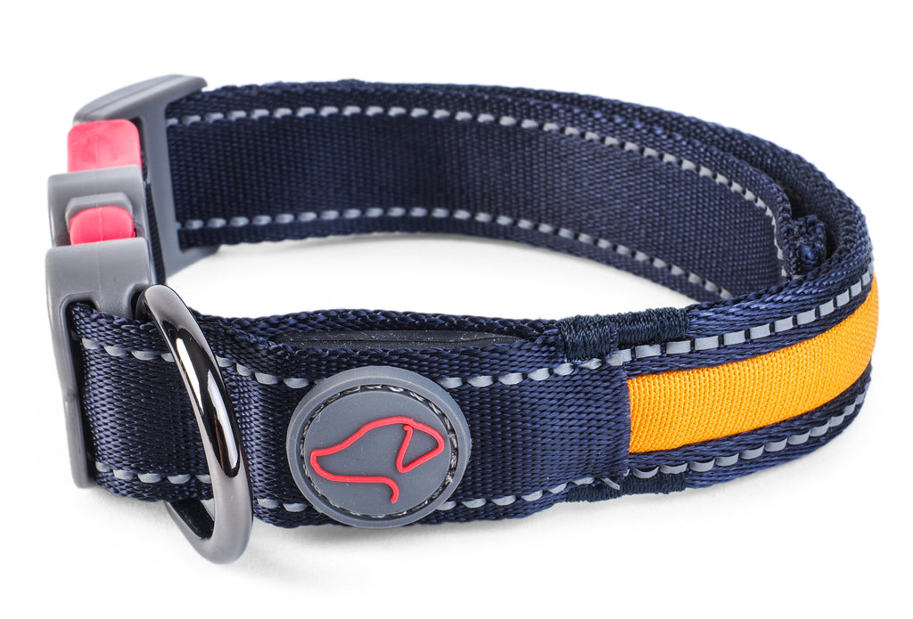 Flash & Go Rechargeable LED Dog Collar - Totally Pawsome