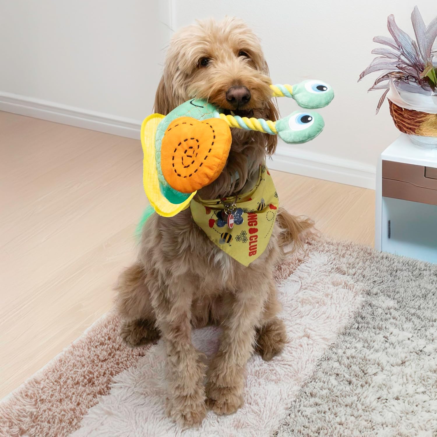 KONG Bendeez Snail Dog Toy