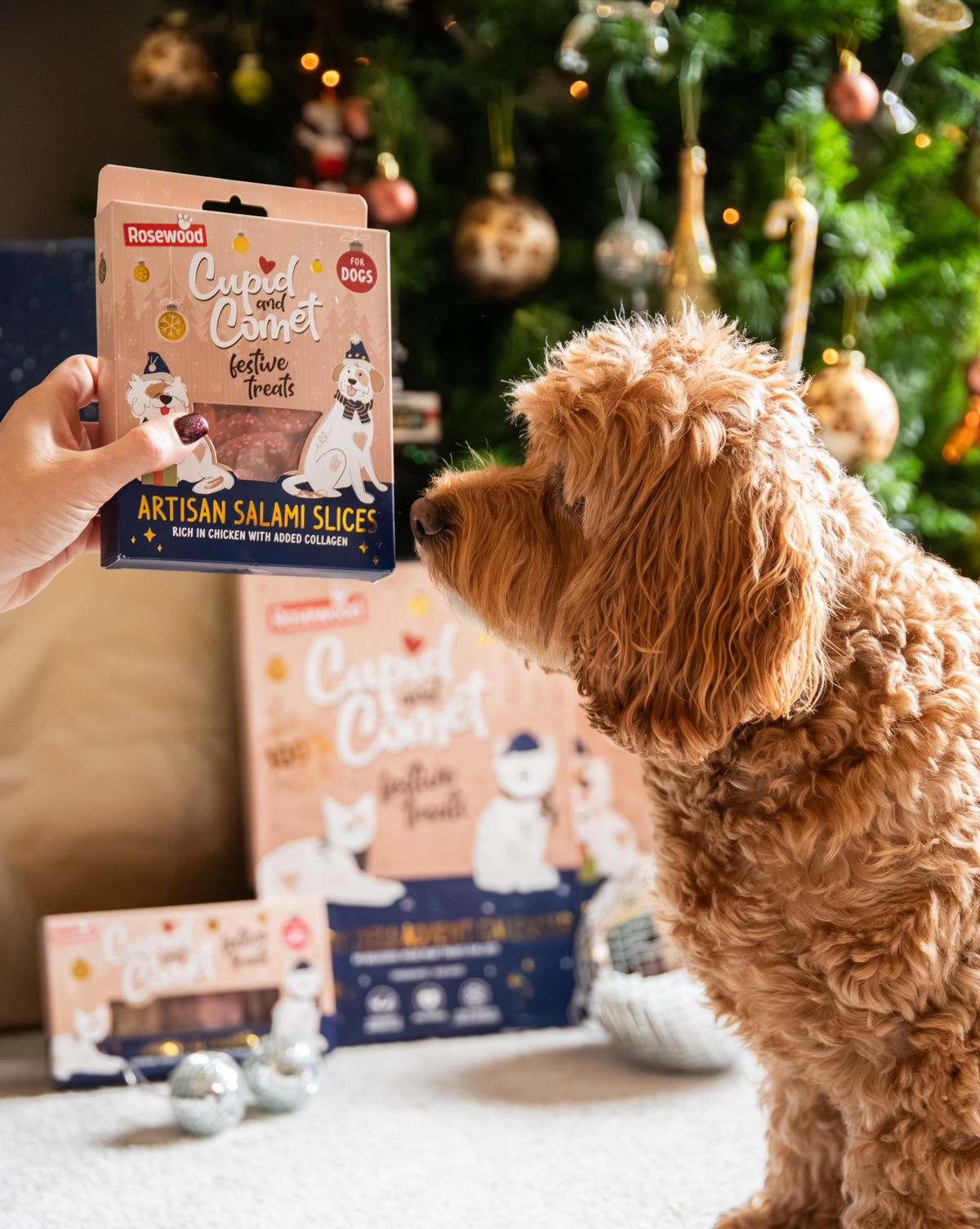 Rosewood Christmas Artisan Salami Slices Dog Treats