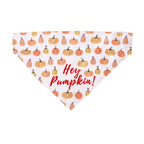 Halloween Slide on Bandana for Dogs