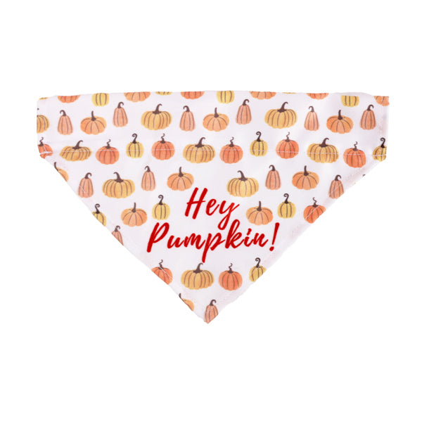 Halloween Slide on Bandana for Dogs