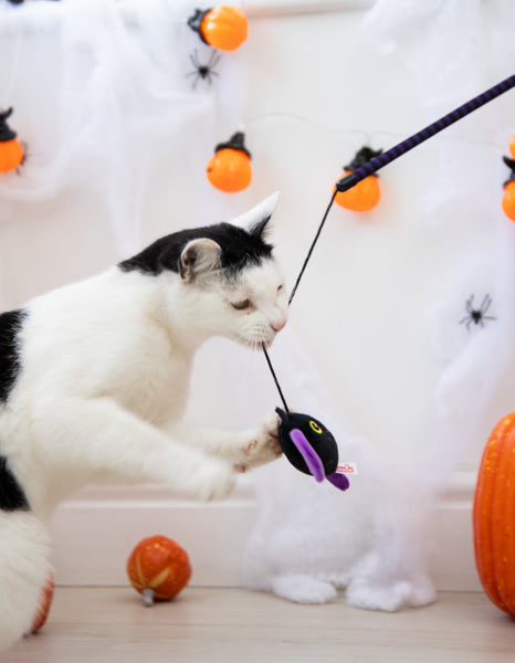 Halloween Buffy Bat Teaser Cat Toy