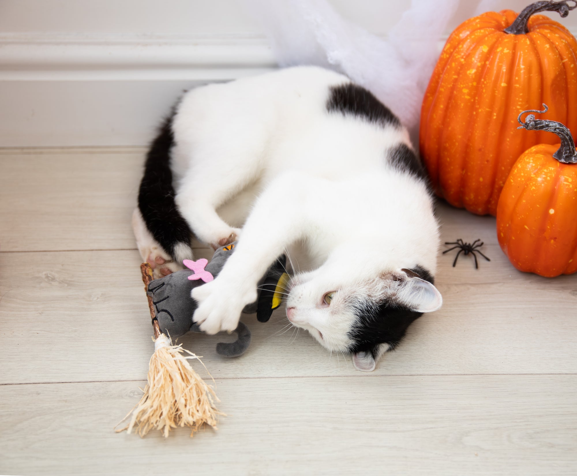 Halloween Witchy Kitty Silvervine Cat Toy