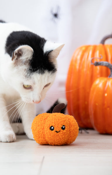 Halloween Pumpkin Pals Cat Toy