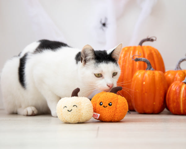 Halloween Pumpkin Pals Cat Toy