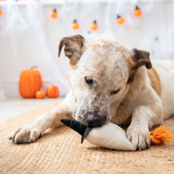 Halloween Gregory Ghost Dog Toy