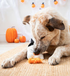 Halloween Gregory Ghost Dog Toy