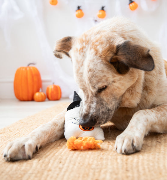 Halloween Gregory Ghost Dog Toy