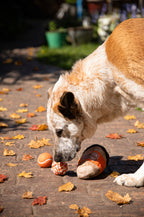 Halloween Pumpkin Snuffle Cup Dog Toy