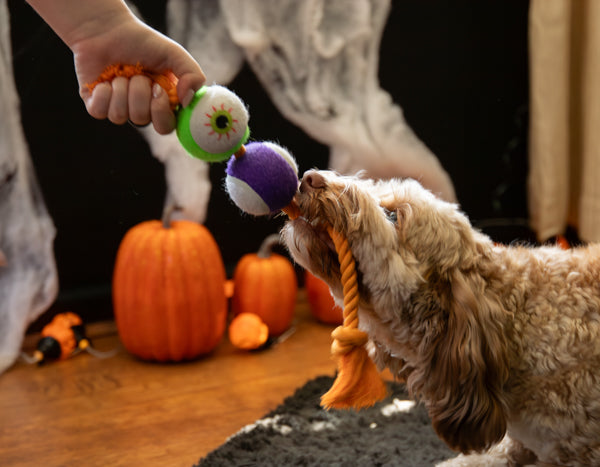 Halloween Goofy Eyes Rope Tug Dog Toy
