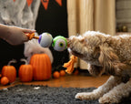 Halloween Goofy Eyes Rope Tug Dog Toy