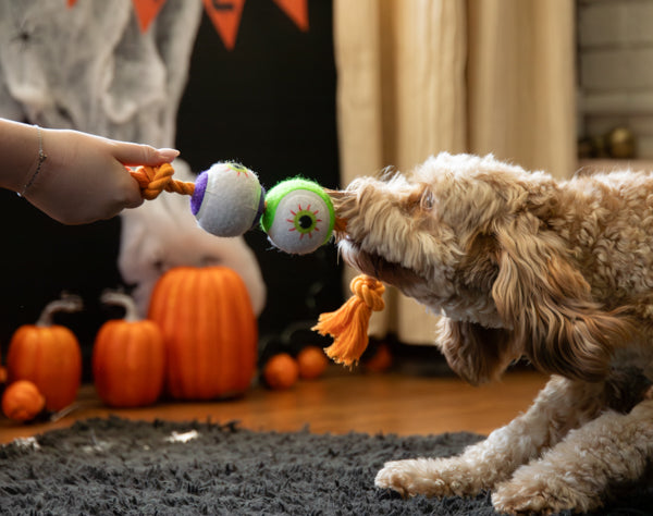 Halloween Goofy Eyes Rope Tug Dog Toy