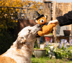 Halloween Wilber Wizard Teddy Bear Dog Toy