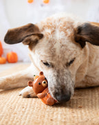 Rosewood Cute Autumnal Squeaky Dog Toys