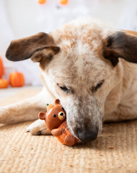Rosewood Cute Autumnal Squeaky Dog Toys