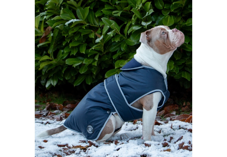 Ancol Stormguard Dog Coat