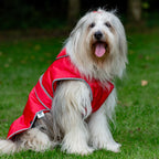 Ancol Stormguard Dog Coat