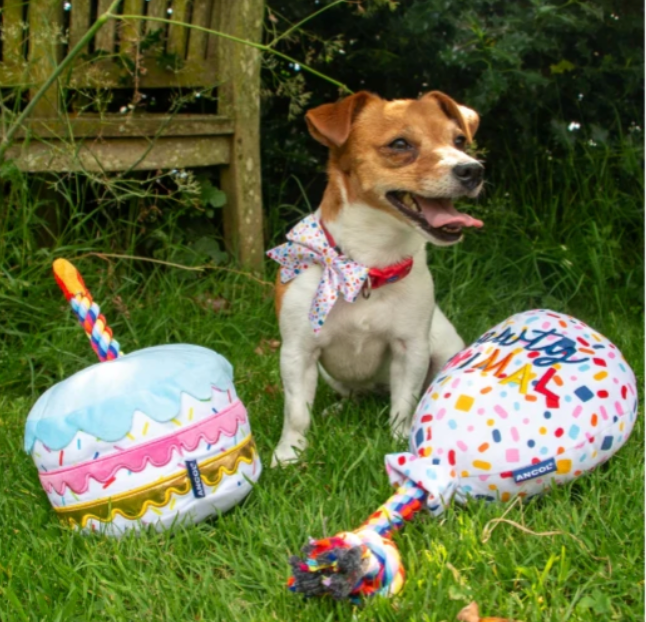 Birthday cake and balloon toy with dog
