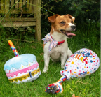 Birthday cake and balloon toy with dog