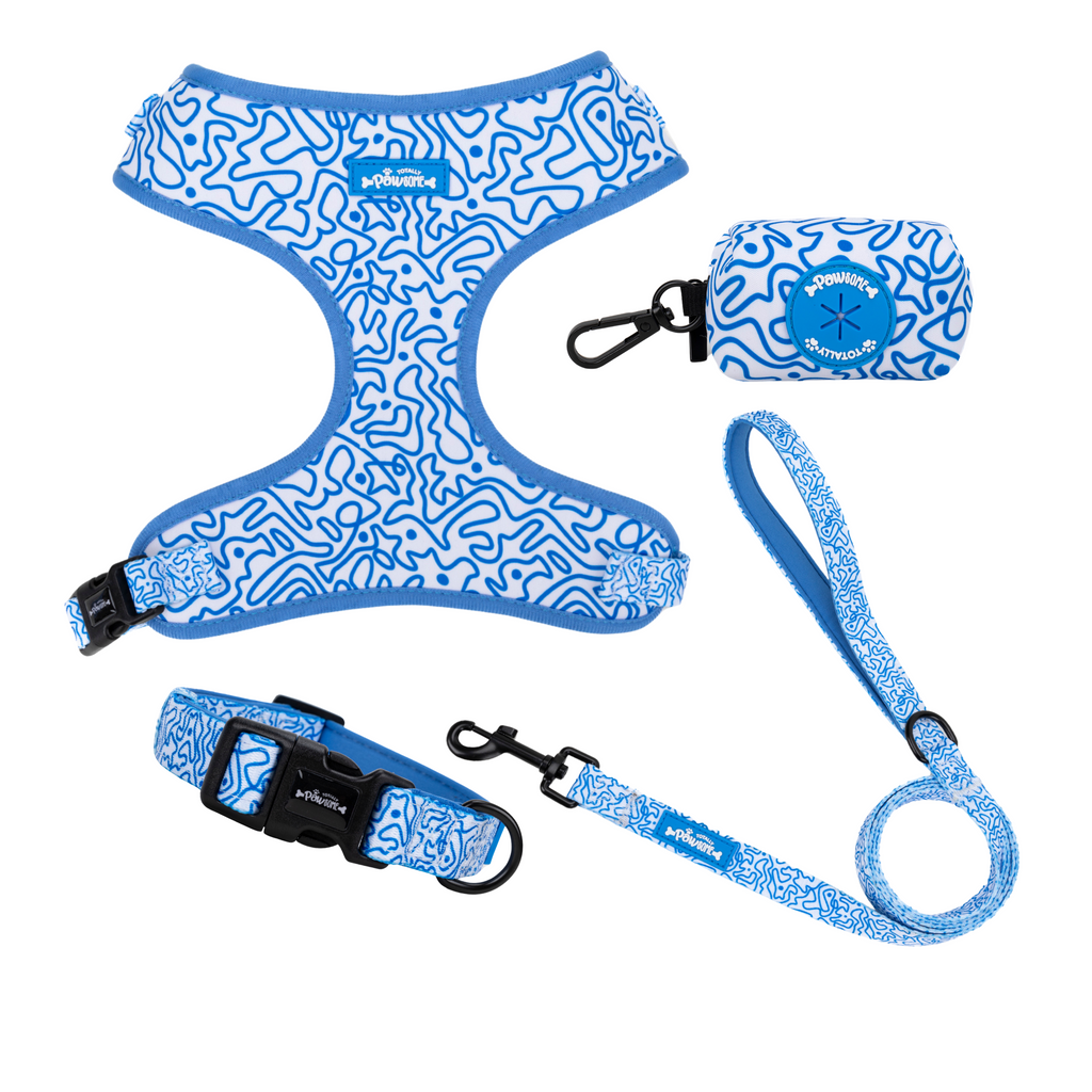 Blue patterned dog harness, leash, and pouch set on a white background
