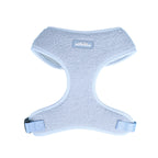 Bubblegum Blue Teddy Harness - Totally Pawsome