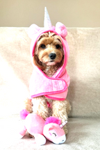 Cockapoo wearing a pink unicorn Drying robe sitting on a couch.