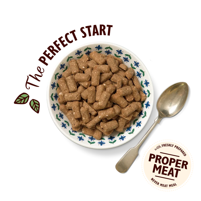 Lilys Kitchen Dog Breakfast Crunch 800g