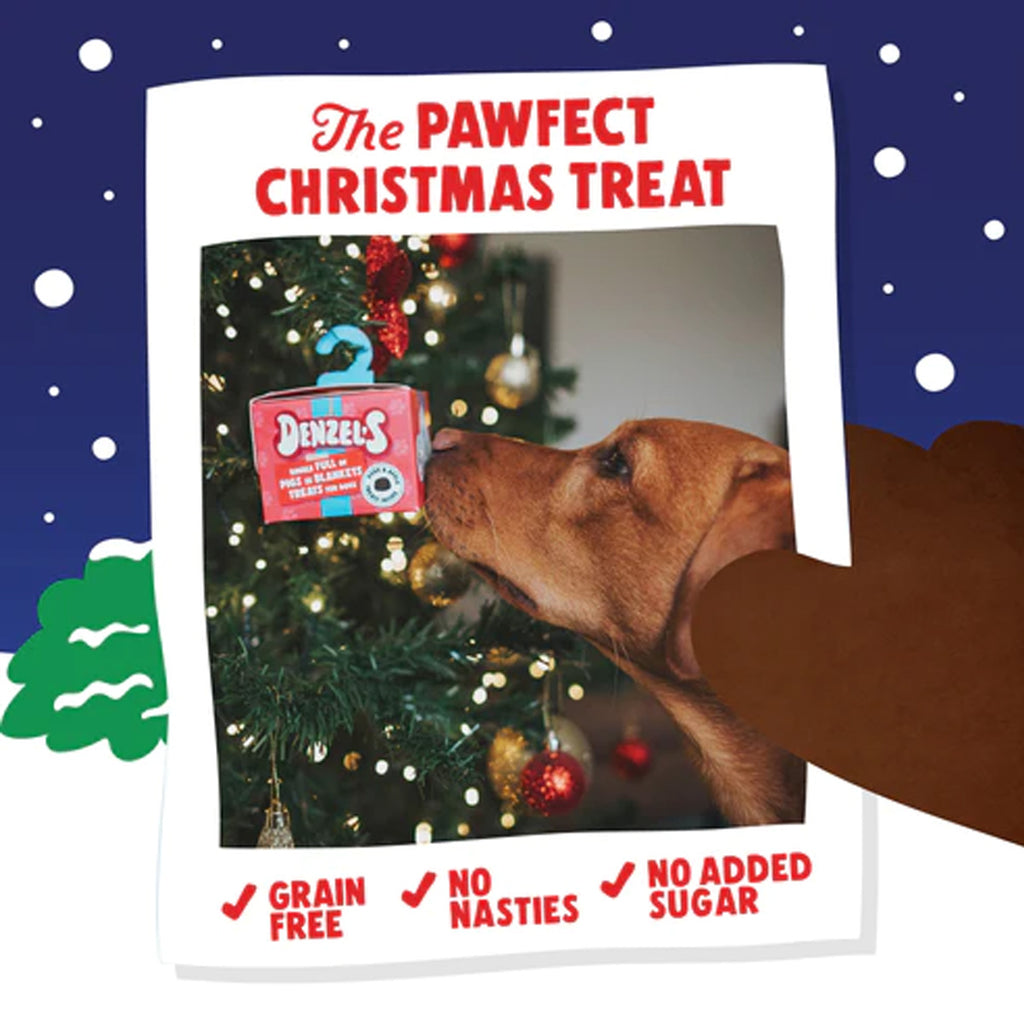 Denzel's - Christmas Bauble Treats - For Dogs & Puppies
