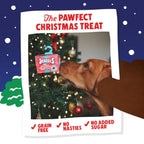 Denzel's - Christmas Bauble Treats - For Dogs & Puppies