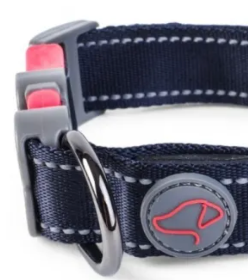 Dog Collar for night walking 