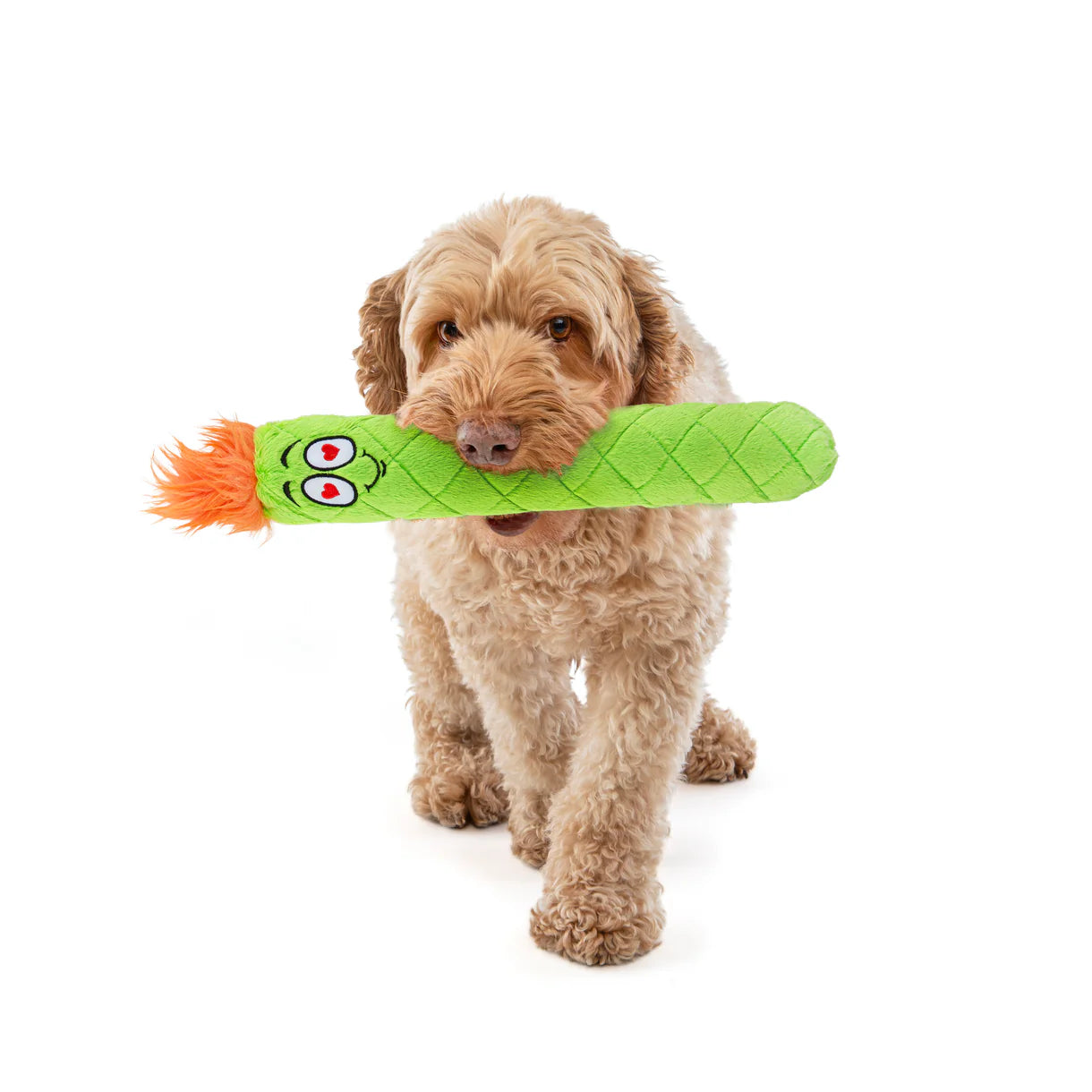 Guru Fry Guys Dog Plush Toys for Dogs & Puppies