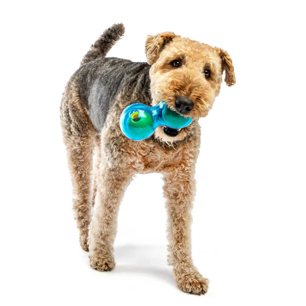 Guru Duo Ball Dog Toy for Dogs & Puppies