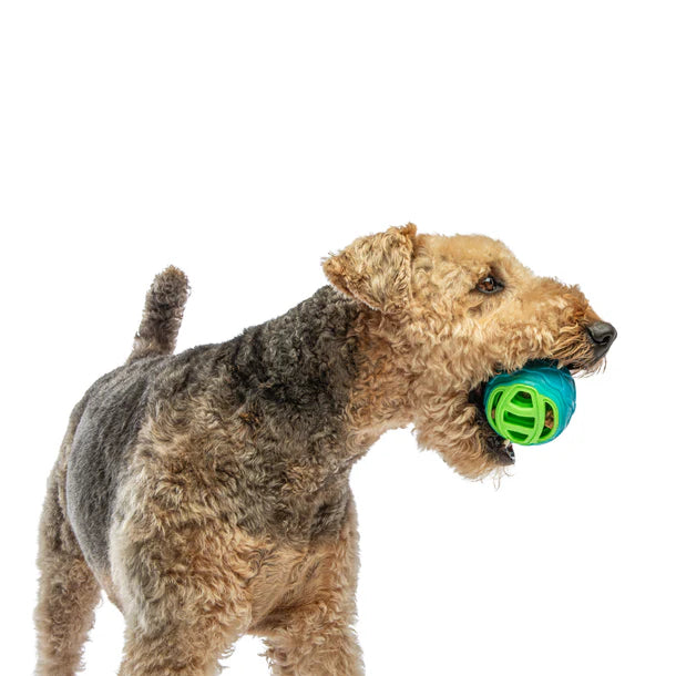 Guru Pocket Ball Dog Toy for Dogs & Puppies