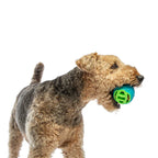Guru Pocket Ball Dog Toy for Dogs & Puppies