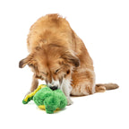 Guru Hide-a-tail Dog Plush Toy for Dogs & Puppies