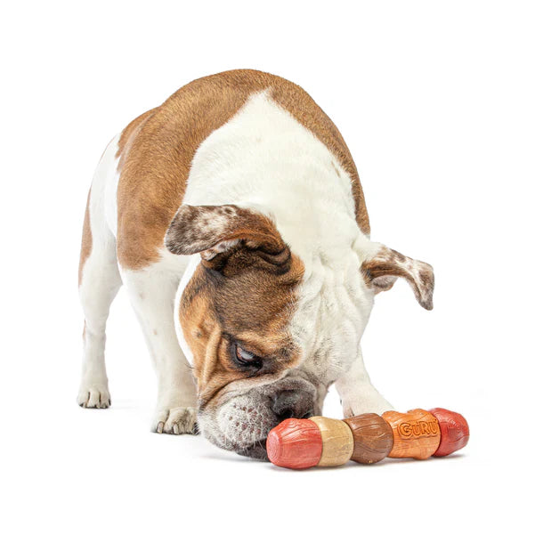 Guru Multi Flavour Stick Dog Toy for Dogs & Puppies