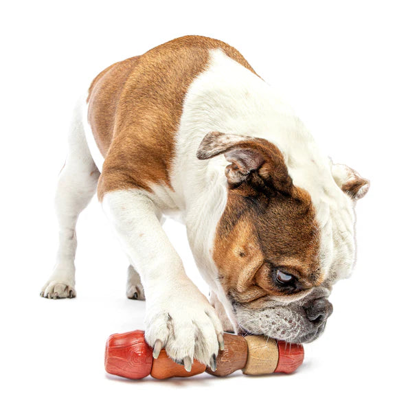 Guru Multi Flavour Stick Dog Toy for Dogs & Puppies