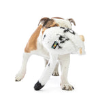 Guru Hide-a-tail Dog Plush Toy for Dogs & Puppies
