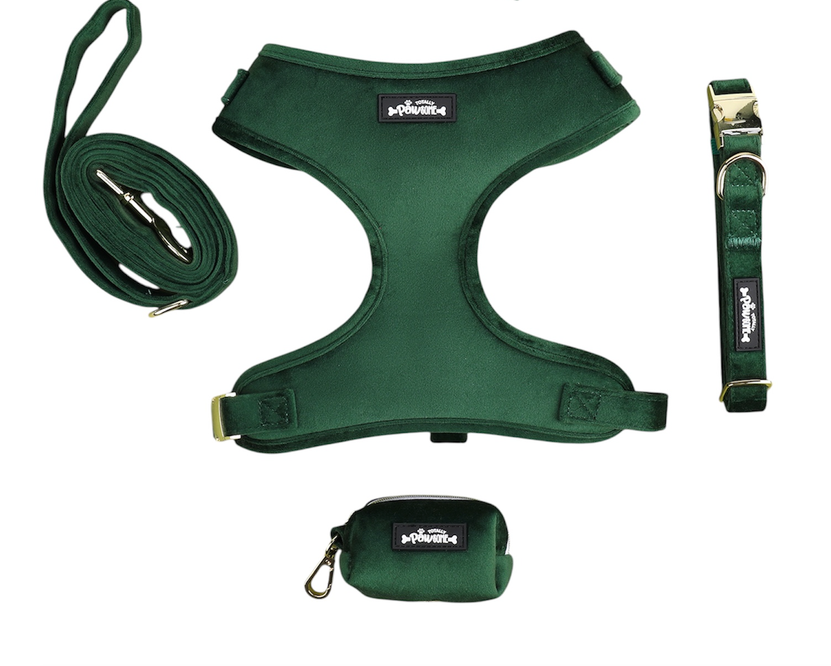Green Velvet Dog Harness set x 4
