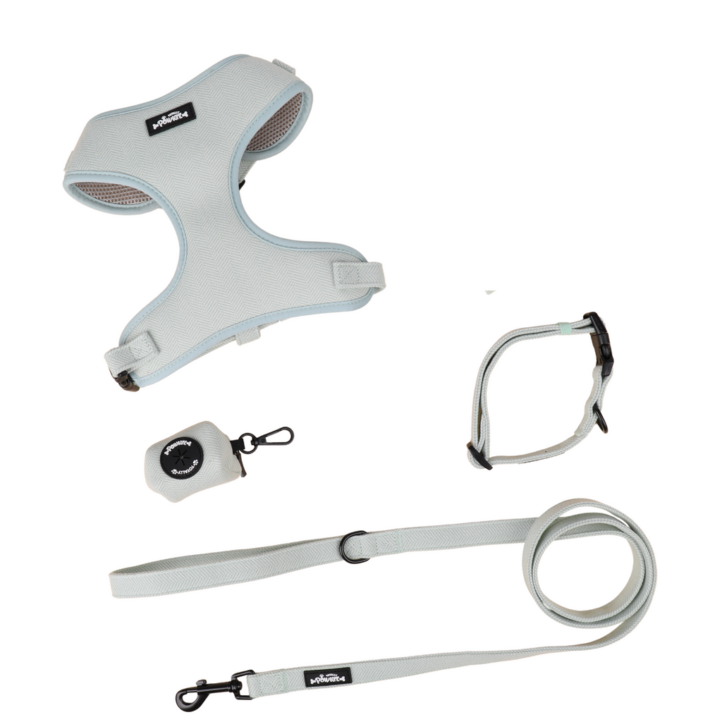 Dog harness, leash, and poop bag holder set on a white background