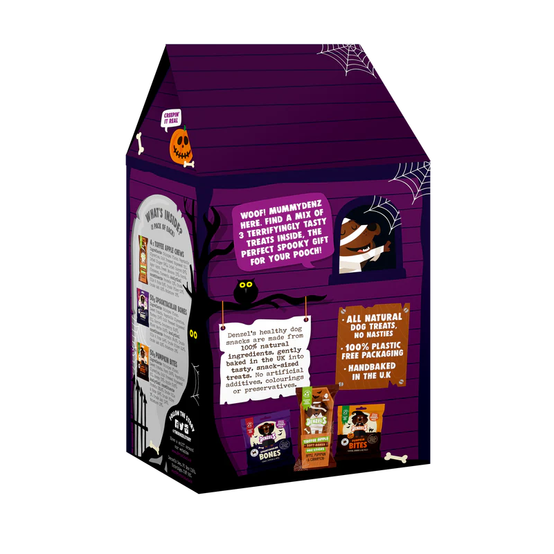 Denzel's Halloween Haunted House Treat Box for Dogs