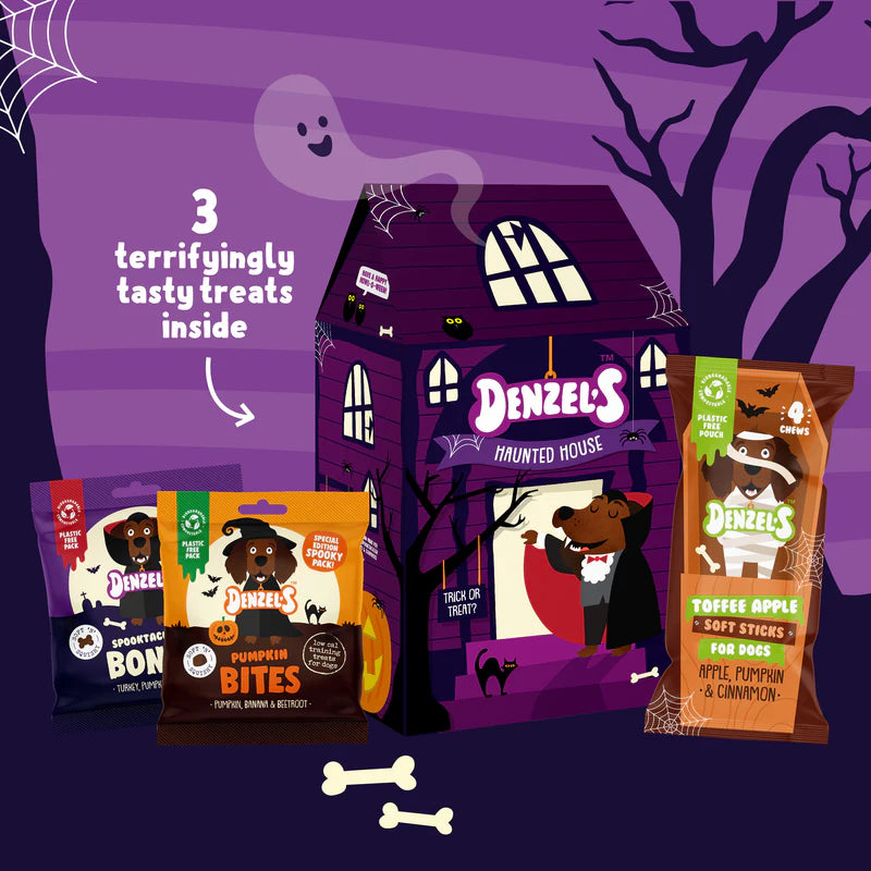 Denzel's Halloween Haunted House Treat Box for Dogs