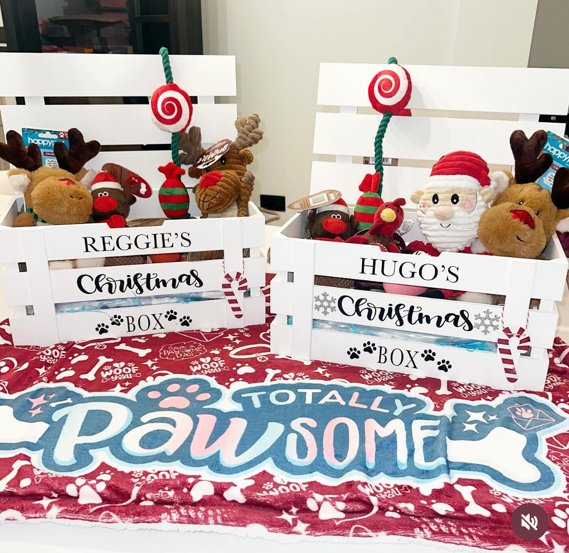 Christmas Personalised Dog Box